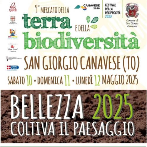 9-Mercato-Terra-e-Biodiversita-PAESAGGIO-e-BELLEZZA-definitivo-page-0001-e1744733613683-725x591-1.jpg