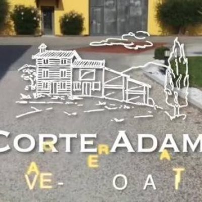 CORTE_ADAMI.jpg