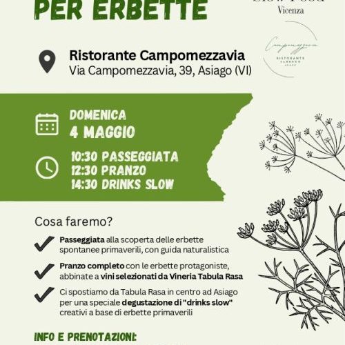 Flyer-passeggiata-erbette-4-maggio-2025-page-0001-500x704-1.jpg