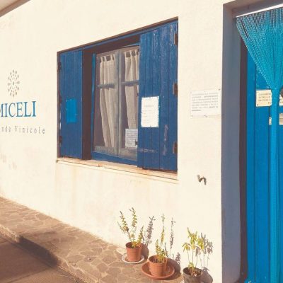 Miceli_Aziende_Vinicole.jpg